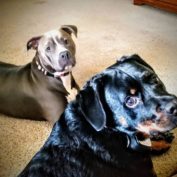 Meet your seller/buyer! - Picture 5 of 16